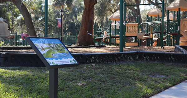 StoryWalk Ideas: Everything You Need To Know