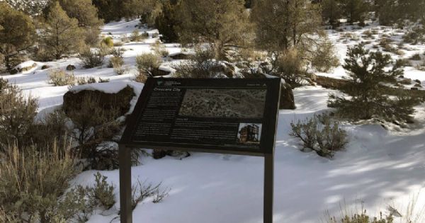 How Rigid Panels and Sub-Surface Graphics Improve Outdoor Sign Durability