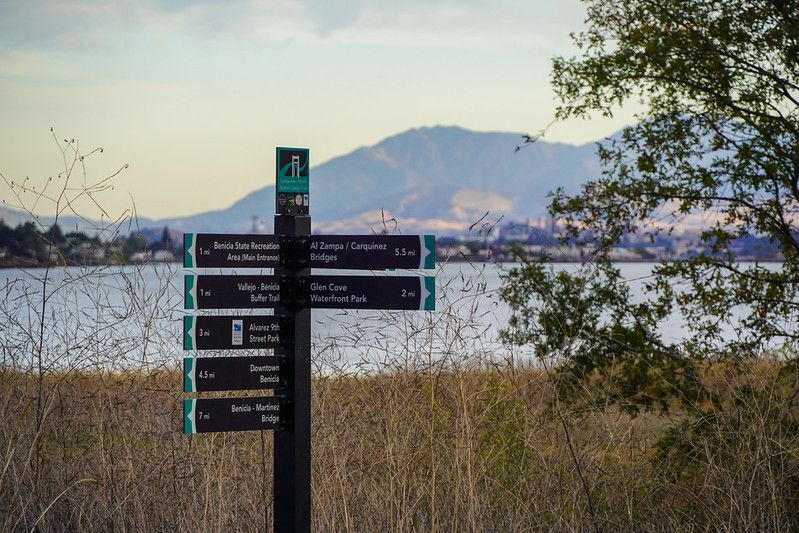 What to Look for in a Sign Design and Manufacturing Company